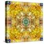 Symmetrical Arrangement of Mussels and Flowers in Yellow Tones-Alaya Gadeh-Stretched Canvas