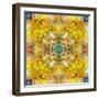 Symmetrical Arrangement of Mussels and Flowers in Yellow Tones-Alaya Gadeh-Framed Photographic Print