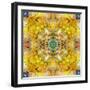 Symmetrical Arrangement of Mussels and Flowers in Yellow Tones-Alaya Gadeh-Framed Photographic Print