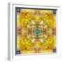 Symmetrical Arrangement of Mussels and Flowers in Yellow Tones-Alaya Gadeh-Framed Photographic Print