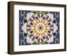 Symmetrical Floral Montage, Composing-Alaya Gadeh-Framed Photographic Print