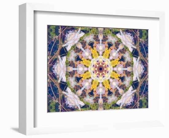 Symmetrical Floral Montage, Composing-Alaya Gadeh-Framed Photographic Print