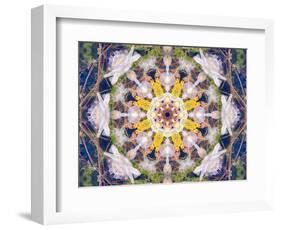 Symmetrical Floral Montage, Composing-Alaya Gadeh-Framed Photographic Print