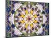 Symmetrical Floral Montage, Composing-Alaya Gadeh-Mounted Photographic Print