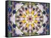 Symmetrical Floral Montage, Composing-Alaya Gadeh-Framed Stretched Canvas