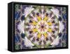 Symmetrical Floral Montage, Composing-Alaya Gadeh-Framed Stretched Canvas