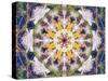 Symmetrical Floral Montage, Composing-Alaya Gadeh-Stretched Canvas
