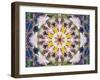 Symmetrical Floral Montage, Composing-Alaya Gadeh-Framed Photographic Print