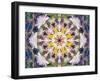 Symmetrical Floral Montage, Composing-Alaya Gadeh-Framed Photographic Print