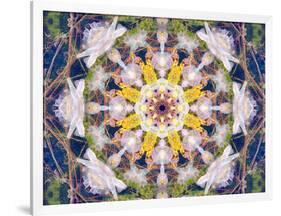 Symmetrical Floral Montage, Composing-Alaya Gadeh-Framed Photographic Print