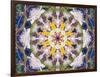 Symmetrical Floral Montage, Composing-Alaya Gadeh-Framed Photographic Print