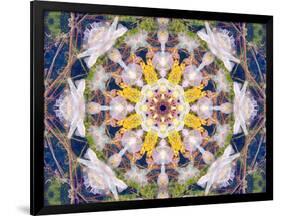 Symmetrical Floral Montage, Composing-Alaya Gadeh-Framed Photographic Print