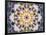 Symmetrical Floral Montage, Composing-Alaya Gadeh-Framed Photographic Print