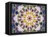 Symmetrical Floral Montage, Composing-Alaya Gadeh-Framed Stretched Canvas