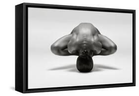 Symmetrical Gymnast-Ross Oscar-Framed Stretched Canvas