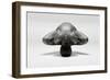 Symmetrical Gymnast-Ross Oscar-Framed Photographic Print