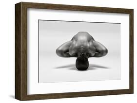 Symmetrical Gymnast-Ross Oscar-Framed Photographic Print