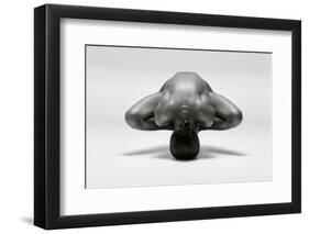 Symmetrical Gymnast-Ross Oscar-Framed Photographic Print