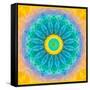 Symmetrical Montage of Flower Photographies-Alaya Gadeh-Framed Stretched Canvas