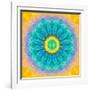 Symmetrical Montage of Flower Photographies-Alaya Gadeh-Framed Photographic Print