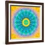 Symmetrical Montage of Flower Photographies-Alaya Gadeh-Framed Photographic Print