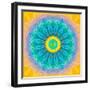 Symmetrical Montage of Flower Photographies-Alaya Gadeh-Framed Photographic Print