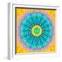 Symmetrical Montage of Flower Photographies-Alaya Gadeh-Framed Photographic Print