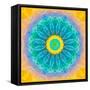 Symmetrical Montage of Flower Photographies-Alaya Gadeh-Framed Stretched Canvas