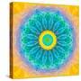 Symmetrical Montage of Flower Photographies-Alaya Gadeh-Stretched Canvas