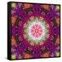 Symmetrical Ornament of Flower Photographies-Alaya Gadeh-Framed Stretched Canvas