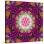 Symmetrical Ornament of Flower Photographies-Alaya Gadeh-Stretched Canvas