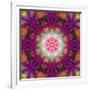 Symmetrical Ornament of Flower Photographies-Alaya Gadeh-Framed Photographic Print