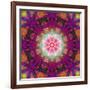 Symmetrical Ornament of Flower Photographies-Alaya Gadeh-Framed Photographic Print