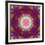 Symmetrical Ornament of Flower Photographies-Alaya Gadeh-Framed Photographic Print