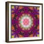 Symmetrical Ornament of Flower Photographies-Alaya Gadeh-Framed Photographic Print