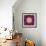 Symmetrical Ornament of Flower Photographies-Alaya Gadeh-Framed Photographic Print displayed on a wall