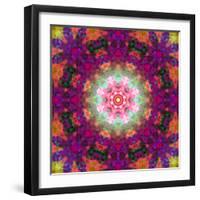 Symmetrical Ornament of Flower Photographies-Alaya Gadeh-Framed Photographic Print