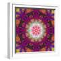 Symmetrical Ornament of Flower Photographies-Alaya Gadeh-Framed Photographic Print