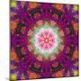 Symmetrical Ornament of Flower Photographies-Alaya Gadeh-Mounted Photographic Print