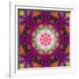 Symmetrical Ornament of Flower Photographies-Alaya Gadeh-Framed Photographic Print