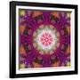 Symmetrical Ornament of Flower Photographies-Alaya Gadeh-Framed Photographic Print