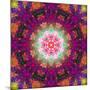 Symmetrical Ornament of Flower Photographies-Alaya Gadeh-Mounted Photographic Print