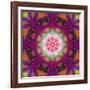 Symmetrical Ornament of Flower Photographies-Alaya Gadeh-Framed Photographic Print