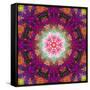 Symmetrical Ornament of Flower Photographies-Alaya Gadeh-Framed Stretched Canvas