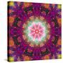 Symmetrical Ornament of Flower Photographies-Alaya Gadeh-Stretched Canvas