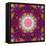 Symmetrical Ornament of Flower Photographies-Alaya Gadeh-Framed Stretched Canvas