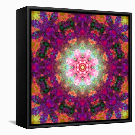 Symmetrical Ornament of Flower Photographies-Alaya Gadeh-Framed Stretched Canvas