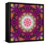 Symmetrical Ornament of Flower Photographies-Alaya Gadeh-Framed Stretched Canvas