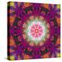 Symmetrical Ornament of Flower Photographies-Alaya Gadeh-Stretched Canvas