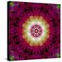 Symmetrical Ornament of Flower Photos-Alaya Gadeh-Stretched Canvas